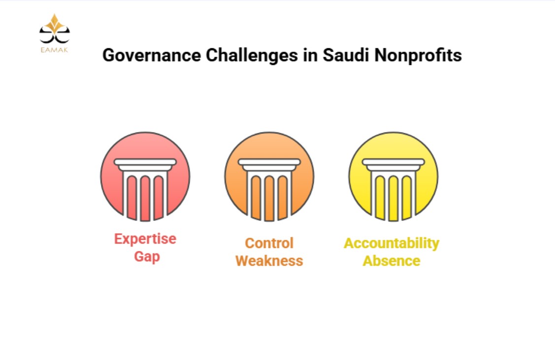 Core Principles of Nonprofit Governance